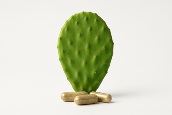 Nopal en cápsulas — fuentes alimenticias