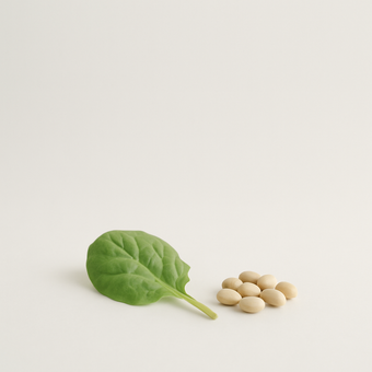 Ácido fólico — fuentes alimenticias
