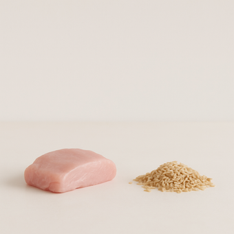Complejo B — fuentes alimenticias