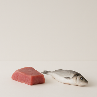 Dosis de creatina para principiantes — fuentes alimenticias