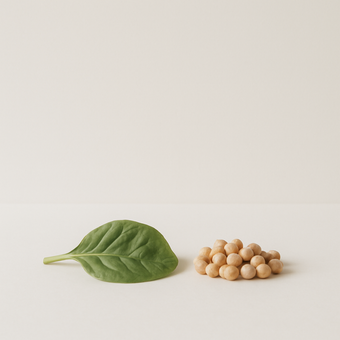 Folato (vitamina B9) — fuentes alimenticias