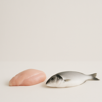 NAD+ (Nicotinamida) — fuentes alimenticias