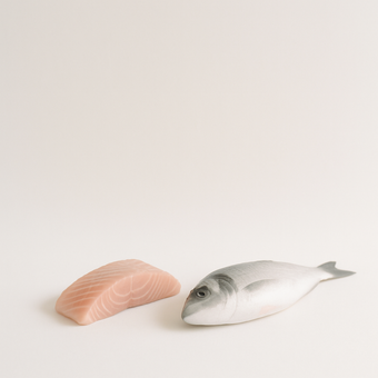 Vitamina B3 (Niacina) — fuentes alimenticias