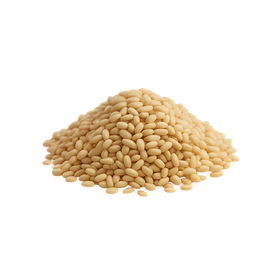 Ajonjolí