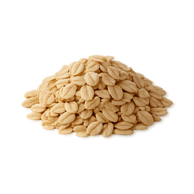 Avena