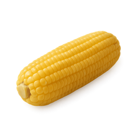 Elote (maíz cocido)