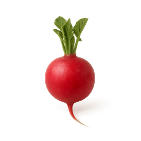 Rábano